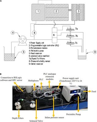 Automation of Dead End Filtration: An Enabler for Continuous Processing of Biotherapeutics